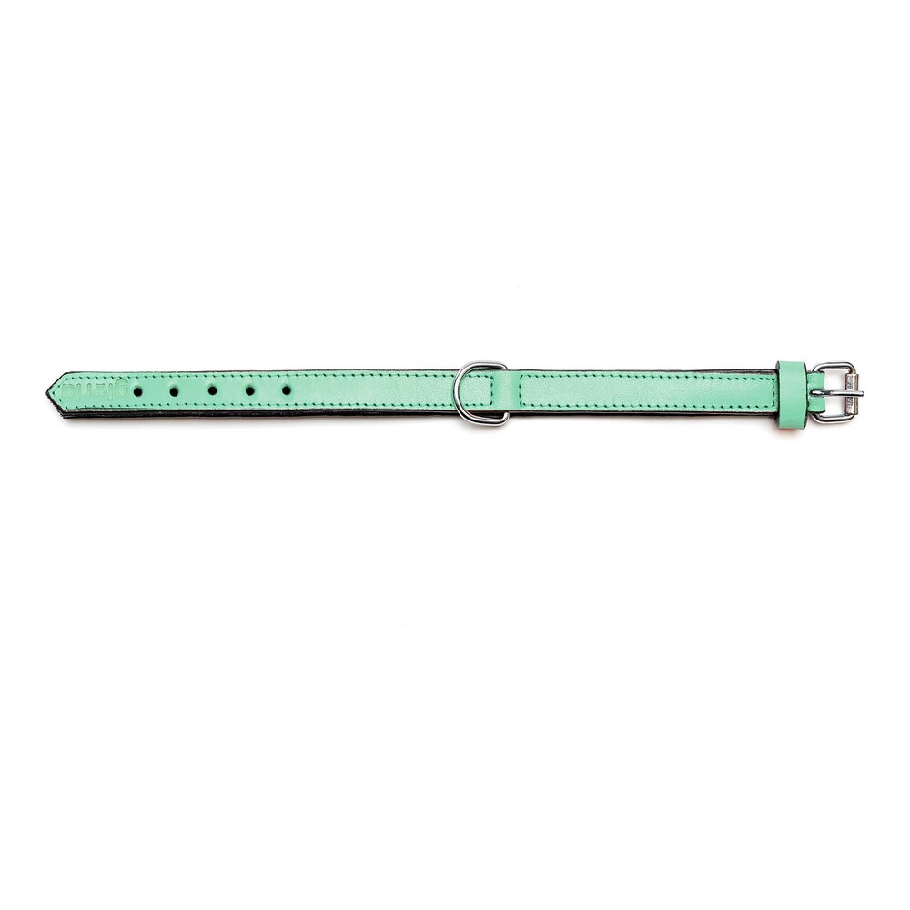 Hundhalsband Gloria Vadderad Grön (30 x 1,5 cm) - 7
