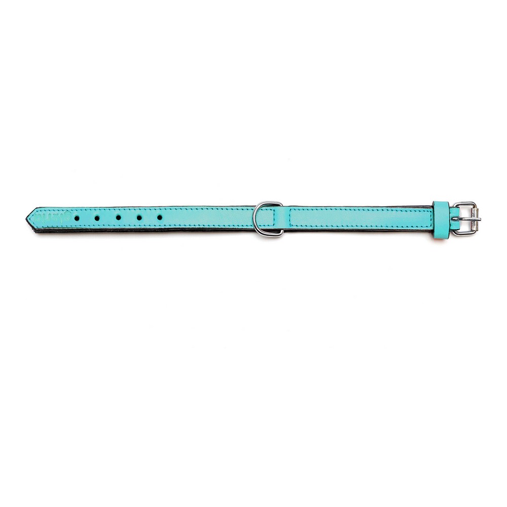 Hundhalsband Gloria Vadderad Turkos (35 x 1,5 cm) - 7