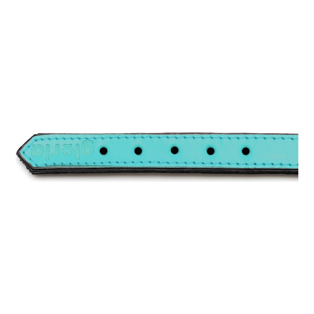Hundhalsband Gloria Vadderad Turkos (35 x 1,5 cm) - 2