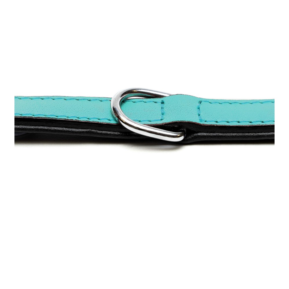 Hundhalsband Gloria Vadderad Turkos (35 x 1,5 cm) - 3