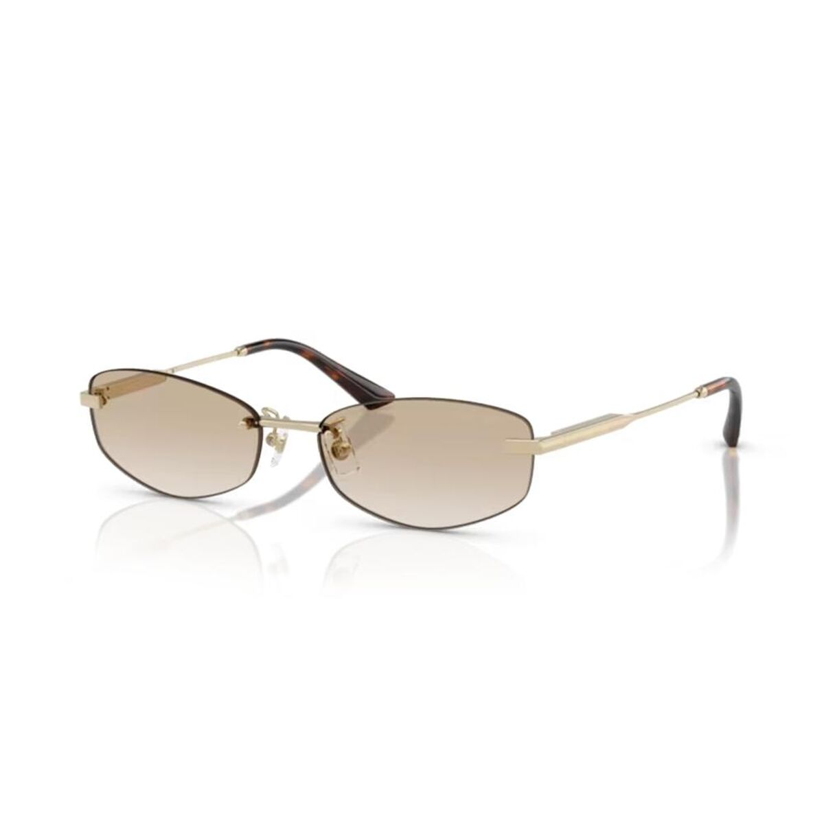 Damsolglasögon Jimmy Choo JC 4013D