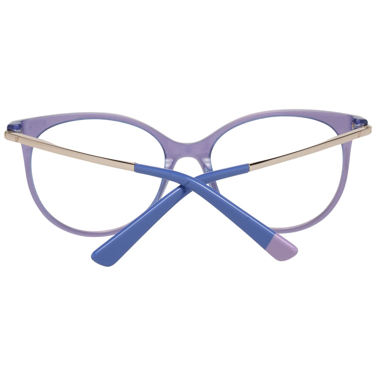 Glasögonbågar Web Eyewear WE5238 52080 - 5