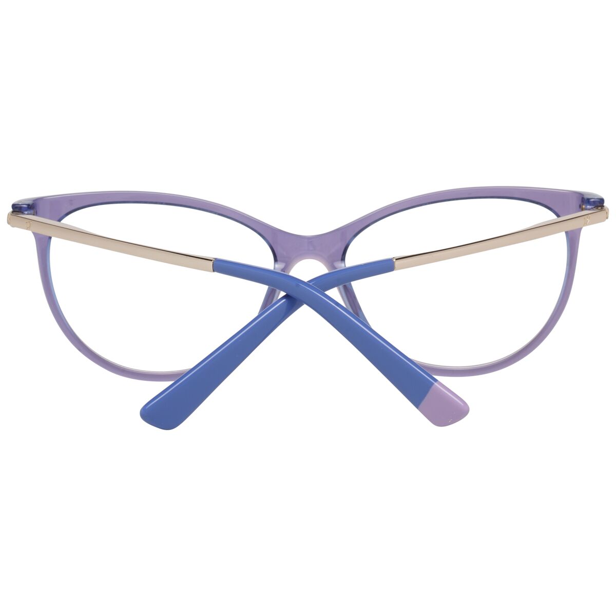 Glasögonbågar Web Eyewear WE5239 54080 - 5