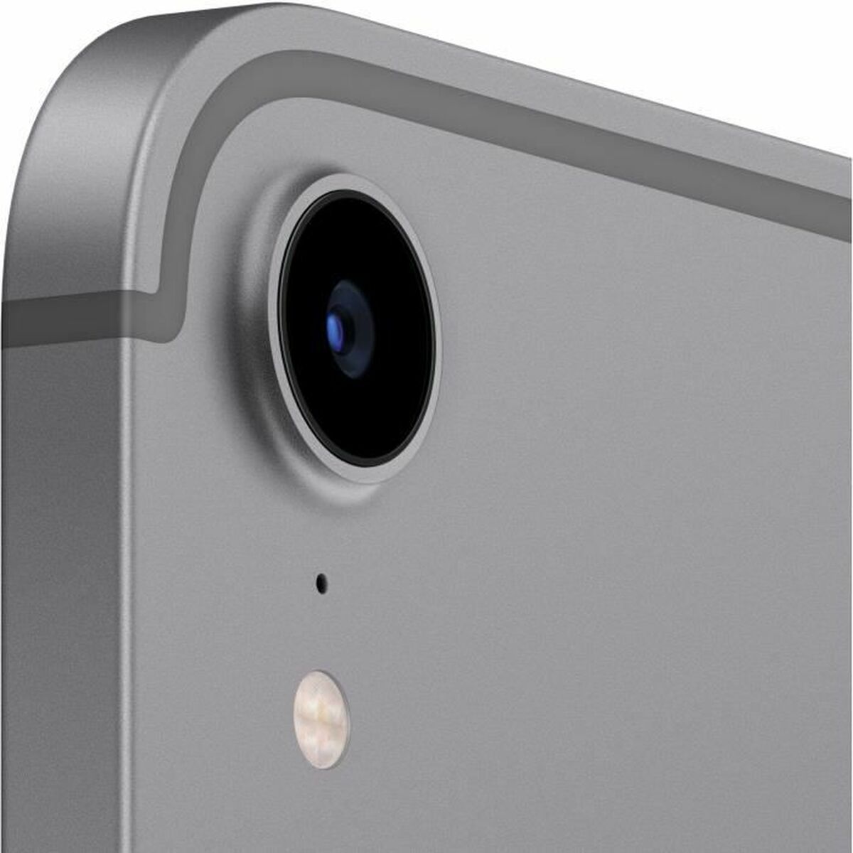 Läsplatta Apple iPad mini Grå 64 GB - 5