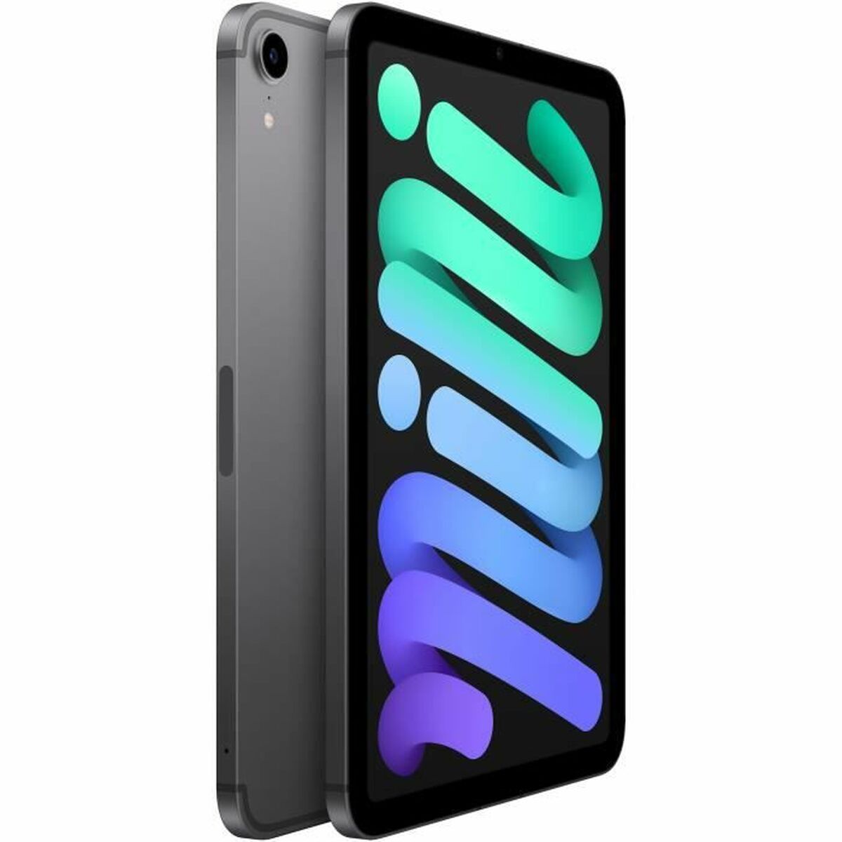 Läsplatta Apple iPad mini Grå 64 GB - 3
