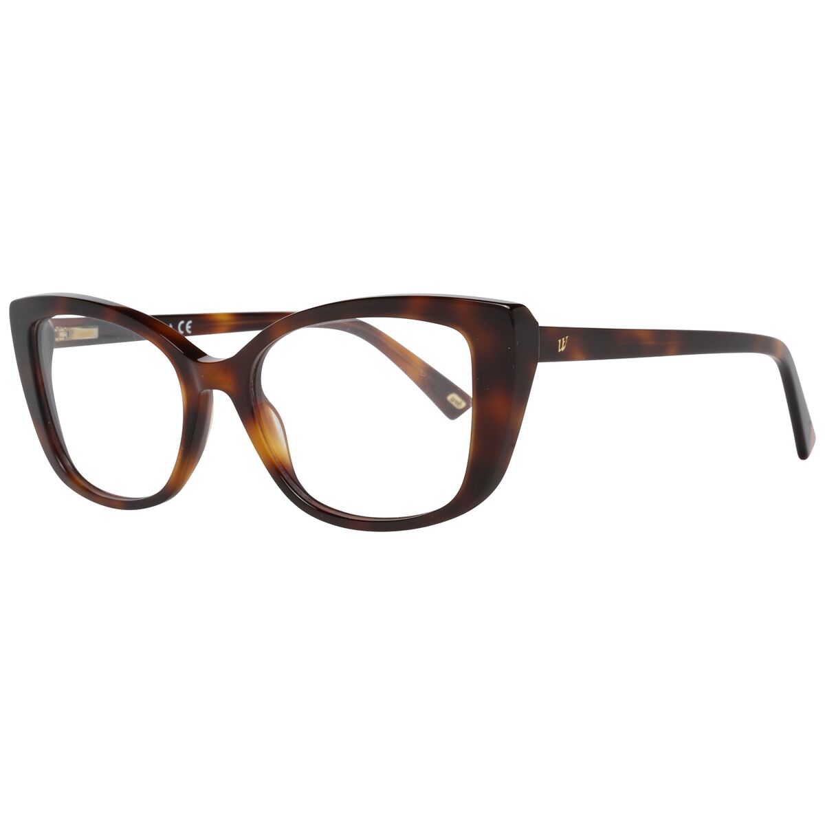 Glasögonbågar Web Eyewear WE5253 52052