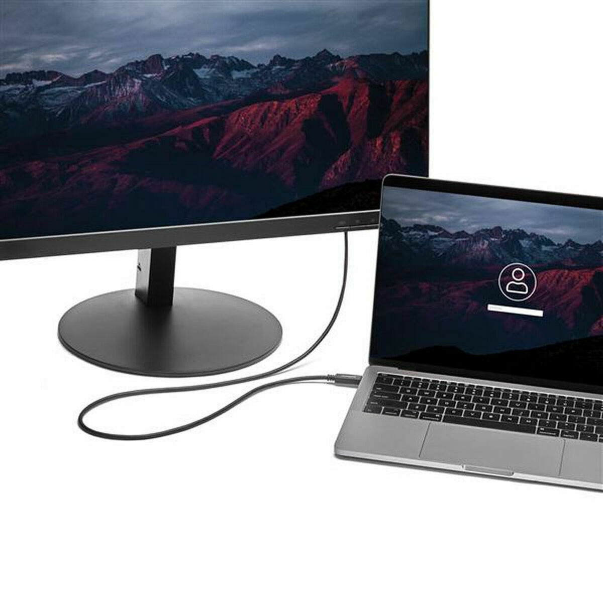 USB C till VGA Kabel Startech CDP2VGAMM2MB         (2 m) Svart - 3