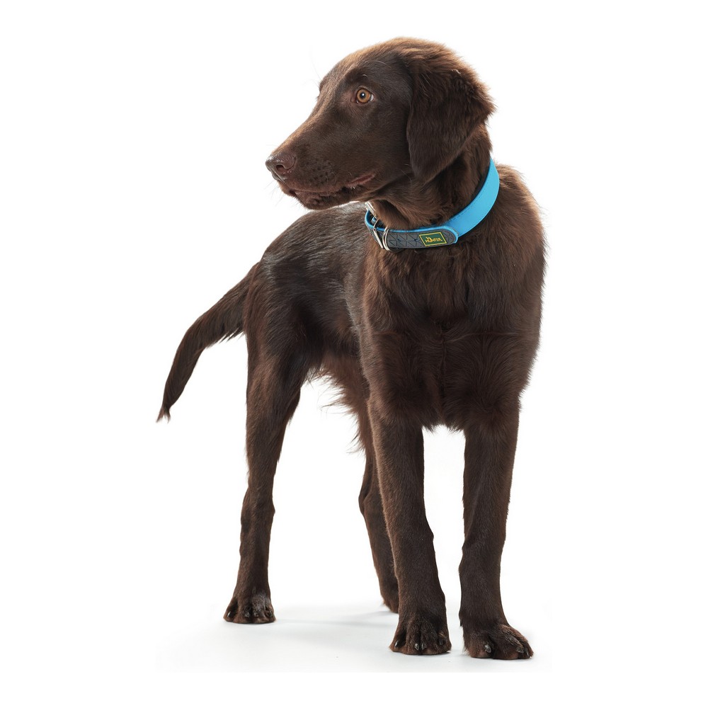 Hundhalsband Hunter Convenience Turkos - 4