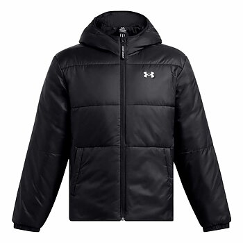 Jacka, herr Under Armour Lw Insulated Svart