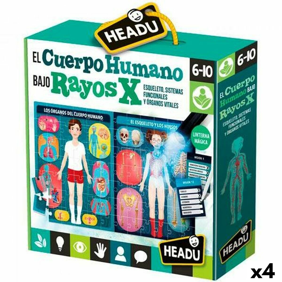 Pedagogiskt spel för små barn HEADU El cuerpo humano Rayos X (4 antal)