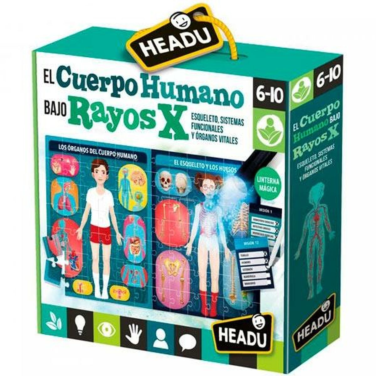 Pedagogiskt spel för små barn HEADU El cuerpo humano Rayos X (4 antal) - 2