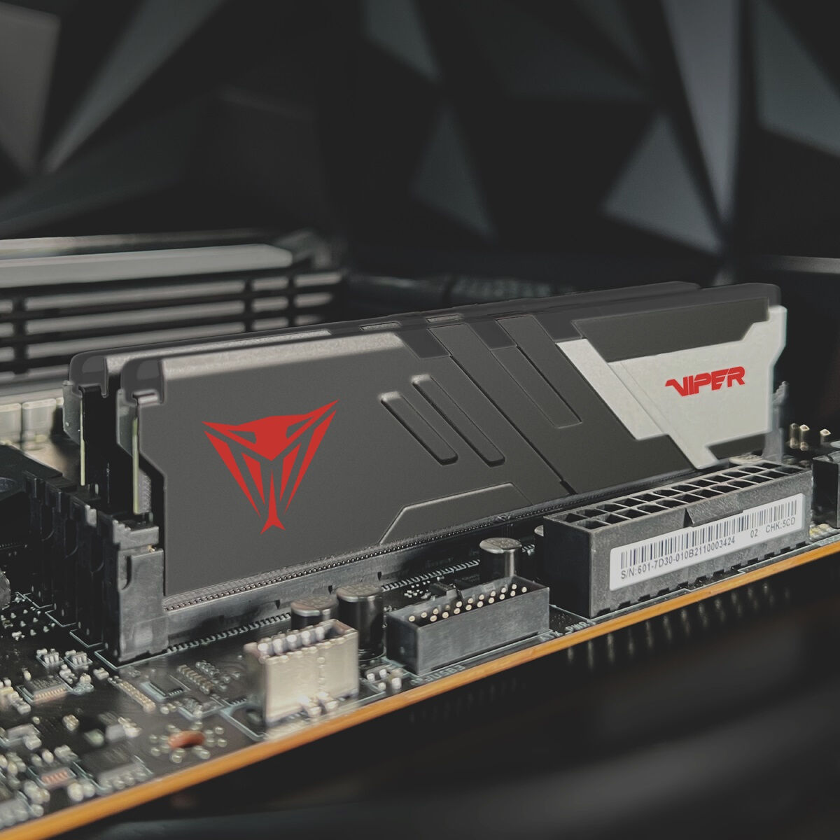 RAM-minne Patriot Memory PVV516G560C40K DDR5 16 GB - 4
