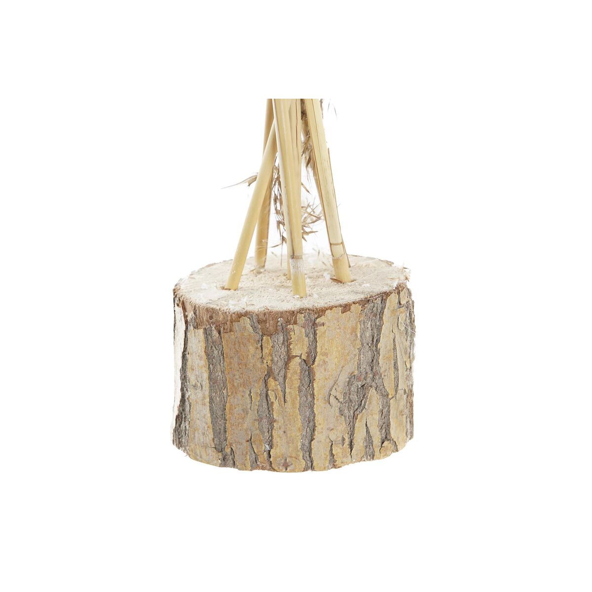 Dekorativ växt DKD Home Decor PVC Fjädrar Naturell 35 x 25 x 55 cm (2 antal) - 3