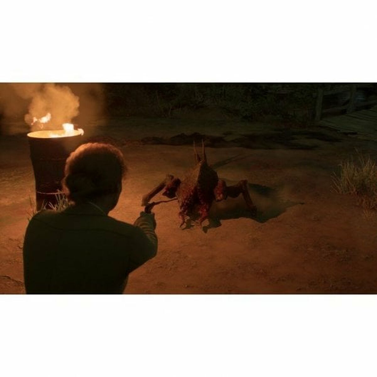 PlayStation 5 Videospel Just For Games Alone in the Dark - 4