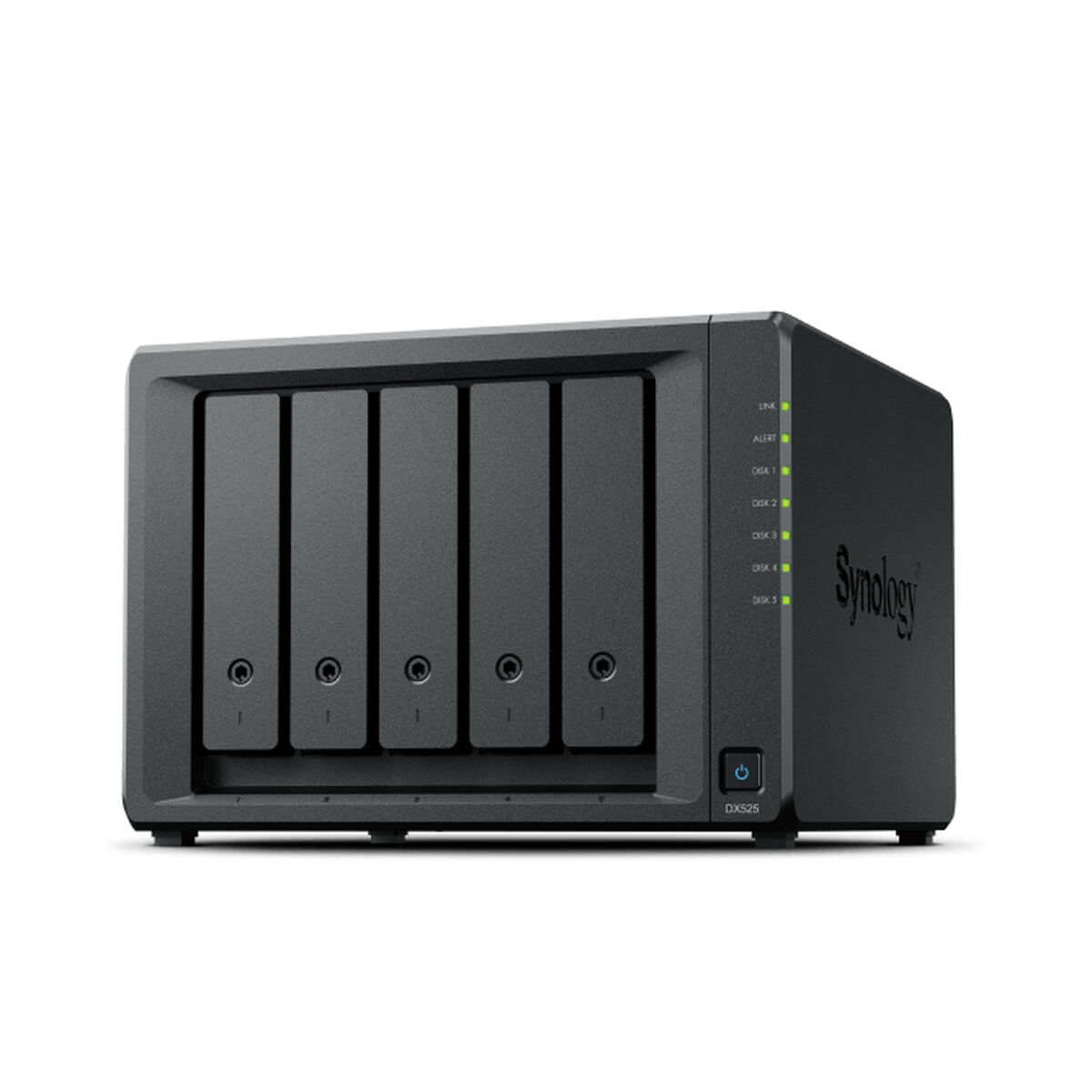 Nätlagringsenhet NAS Synology DX525