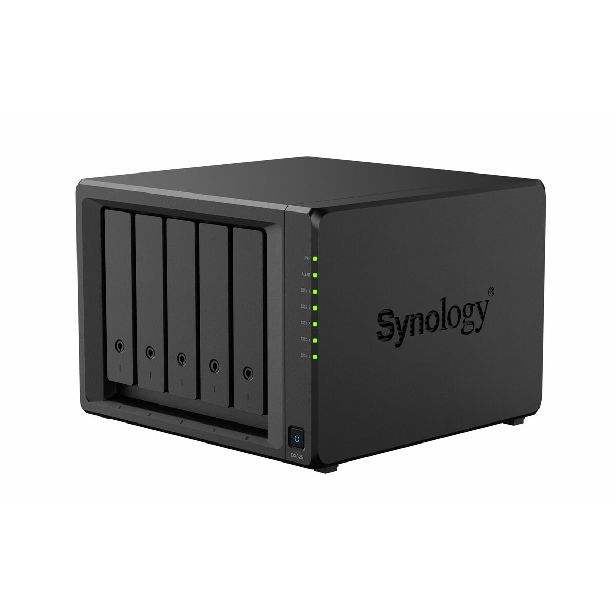 Nätlagringsenhet NAS Synology DX525 - 2