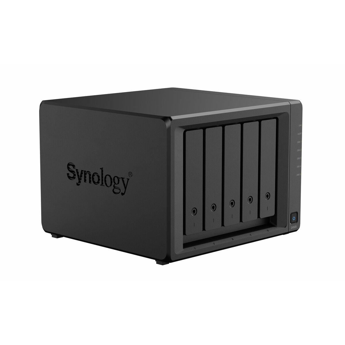 Nätlagringsenhet NAS Synology DX525 - 3