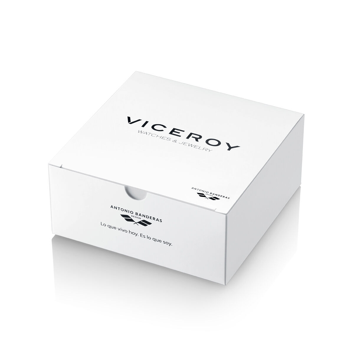 Herrarmband Viceroy 21001P01010 - 2