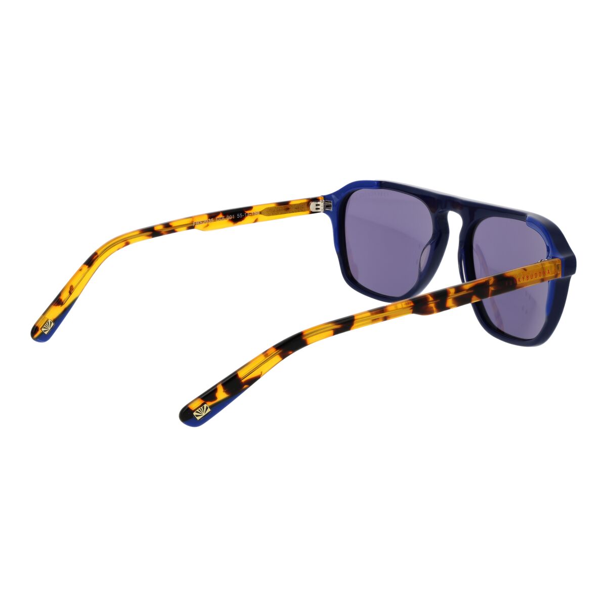 Herrsolglasögon Funky Buddha FBS2035 55001 - 3