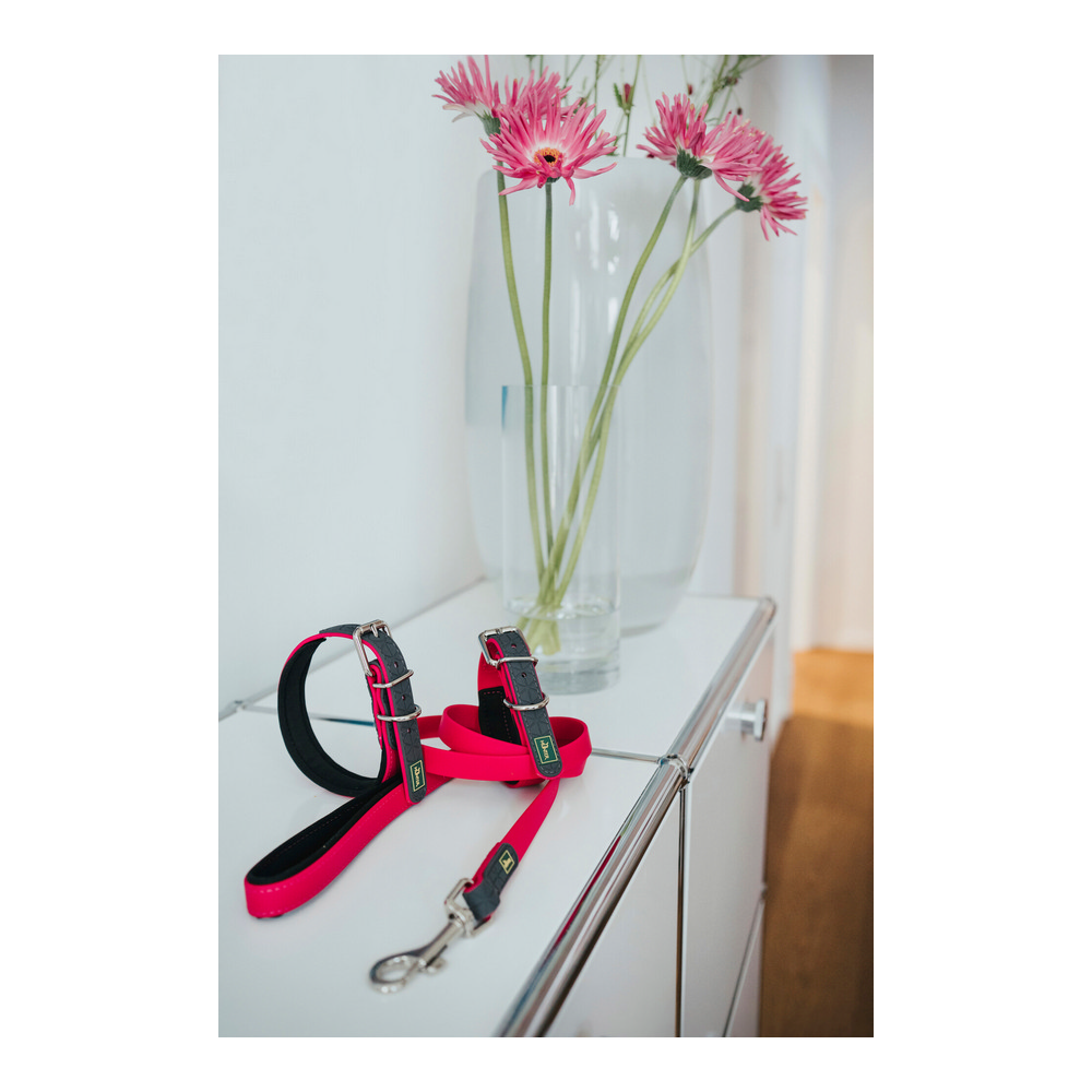 DoHundkoppel Hunter CONVENIENCE 2 x 120 cm Rosa - 2
