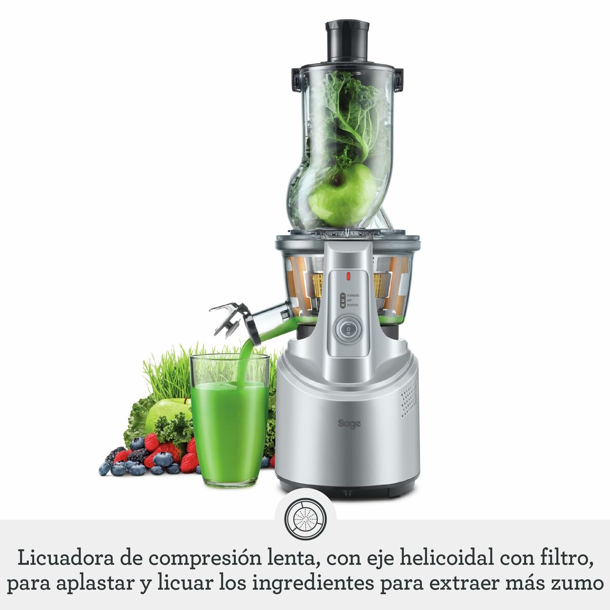 Mixer Sage Big Squeeze Silvrig 2400 W 1,5 L - 5