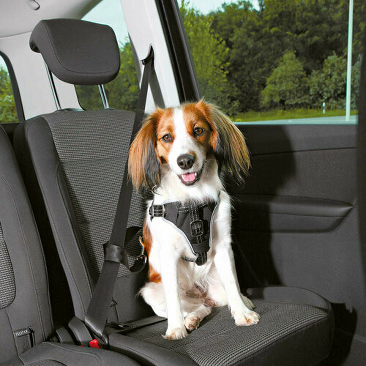 Hundsele Trixie Comfort Svart S/M Bil - 4