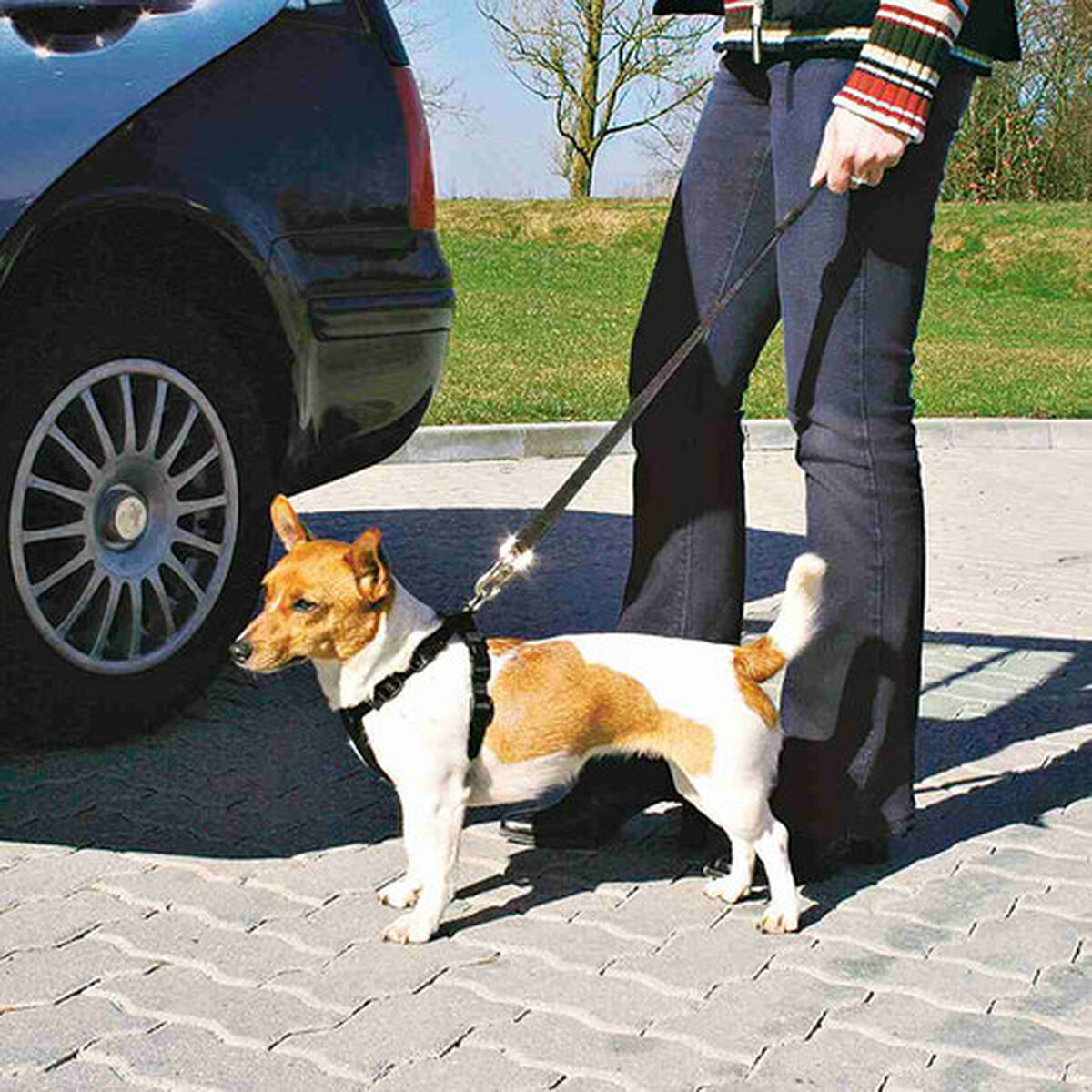 Hundsele Trixie Svart XS Bil - 4