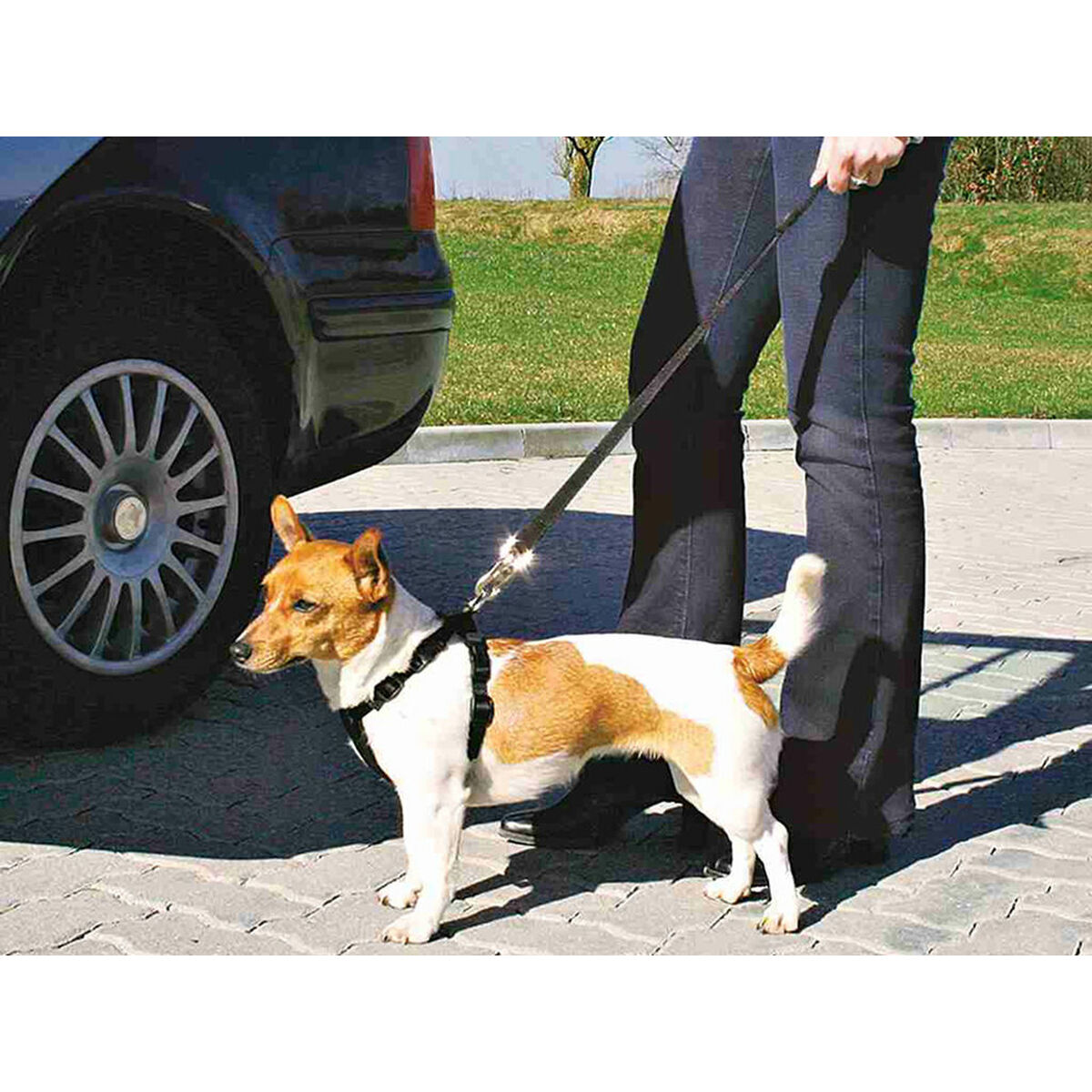 Hundsele Trixie Svart - 3