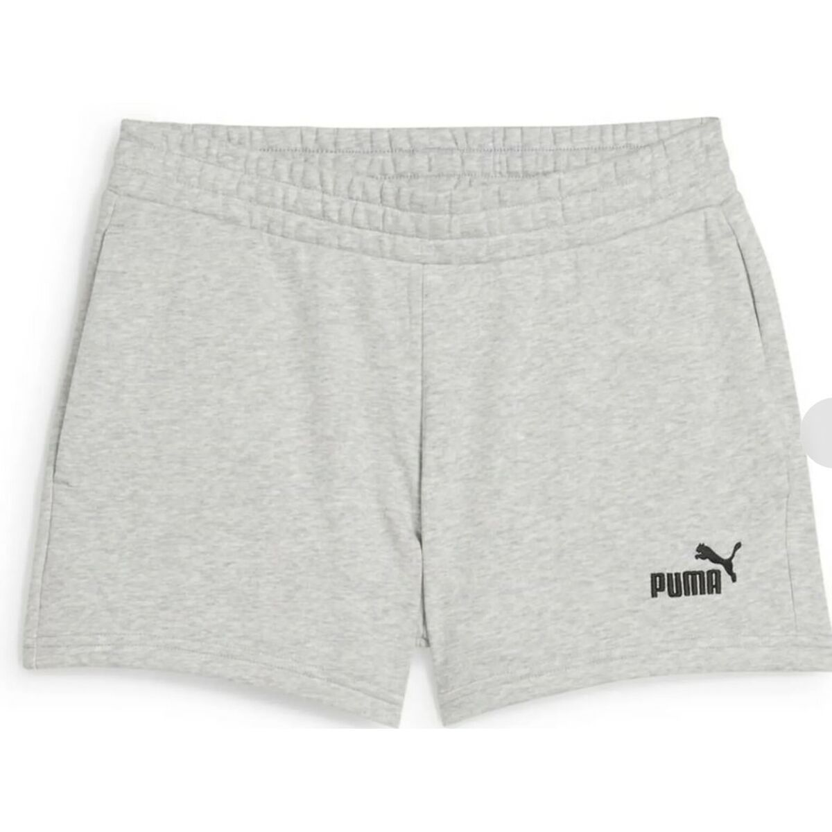 Träningsshorts Puma ESS Small No. 1 Logo 4'' Shorts TR Grå
