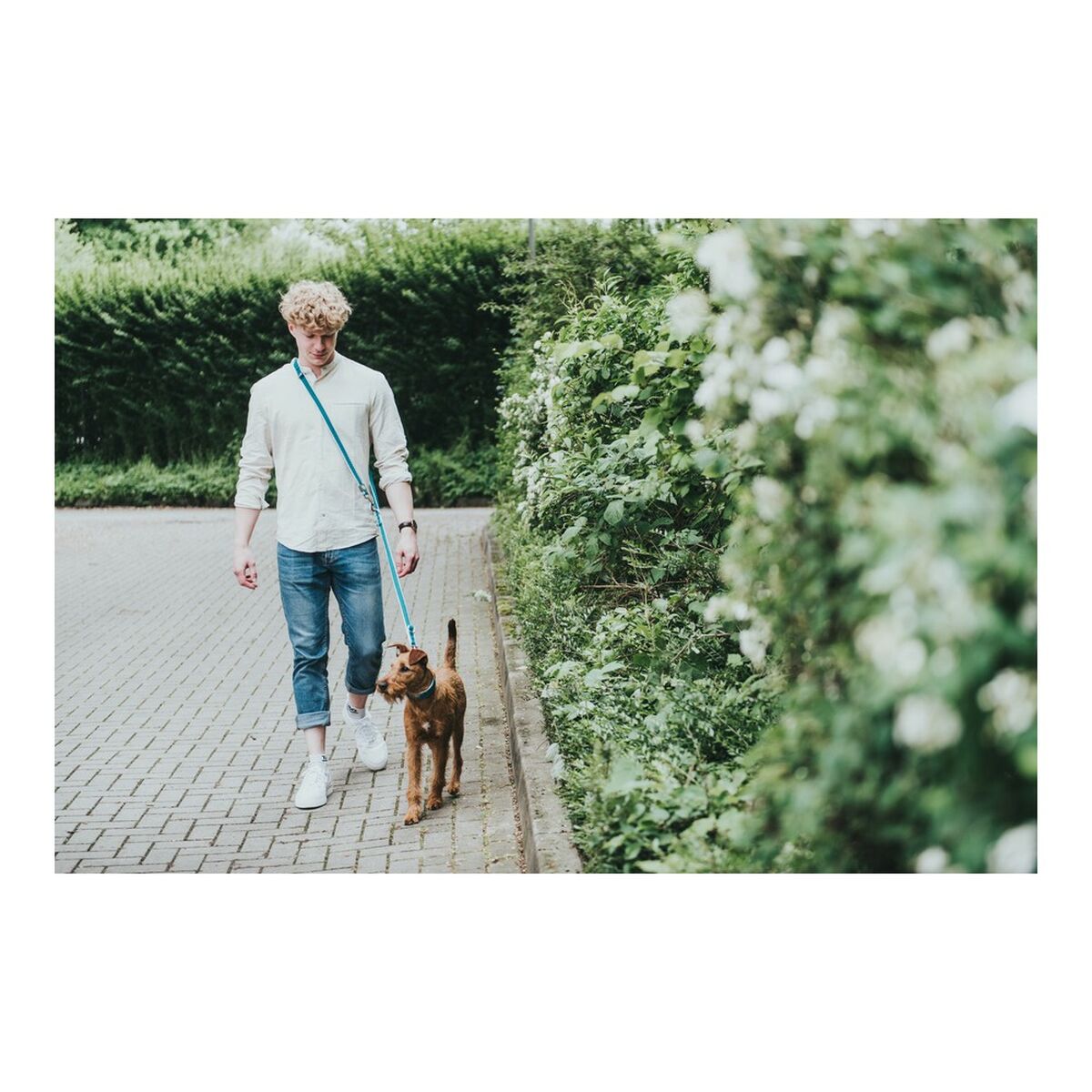 DoHundkoppel Hunter HILO Lime (200 cm) - 10