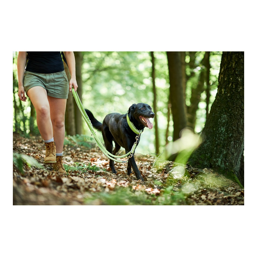 DoHundkoppel Hunter HILO Lime (200 cm) - 3