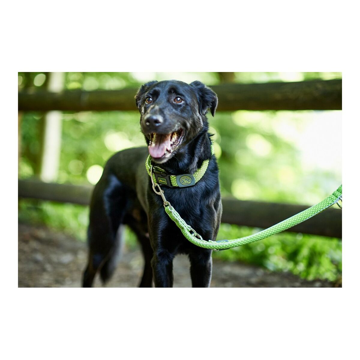 DoHundkoppel Hunter HILO Lime (200 cm) - 9