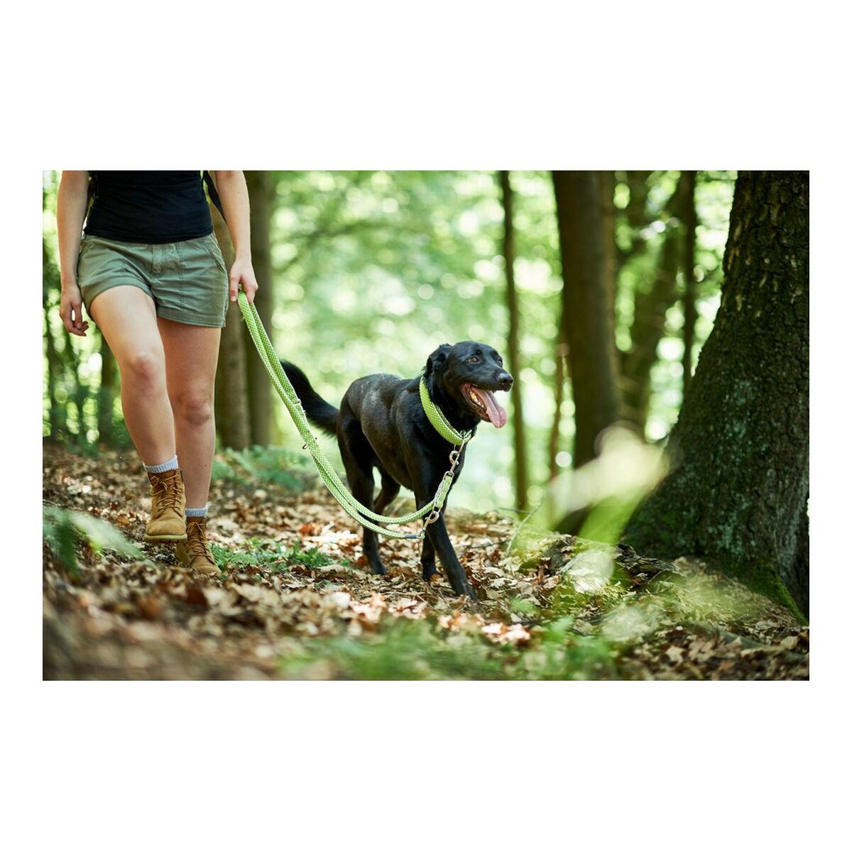 DoHundkoppel Hunter HILO Lime (200 cm) - 8