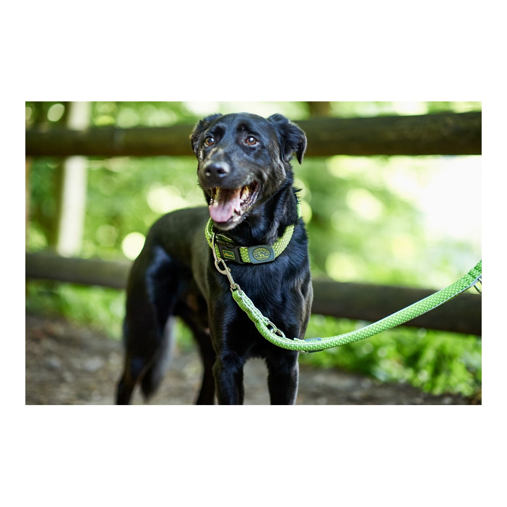 DoHundkoppel Hunter HILO Lime (200 cm) - 4