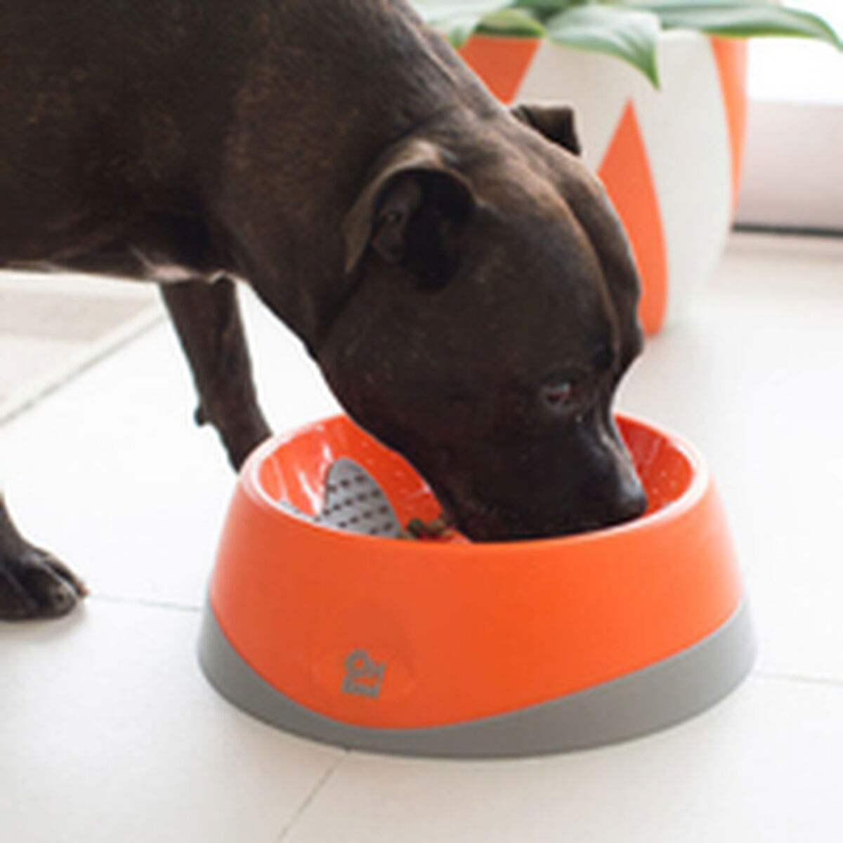 Hundmatare Lickimat Oh Bowl Orange - 12