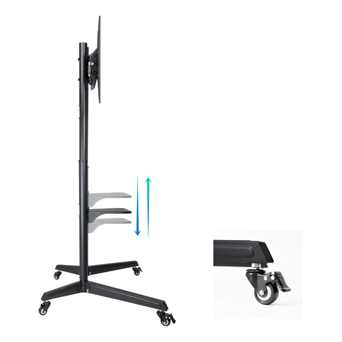 Trolley / Tralle TooQ FS1170M-B 37"-70" 50 kg - 2