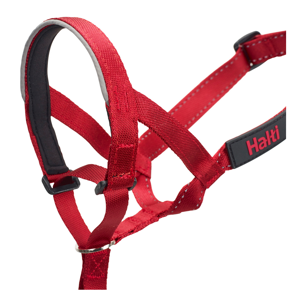 Hund utbildning kragar Company of Animals Halti Munkorg (35-48 cm) - 6