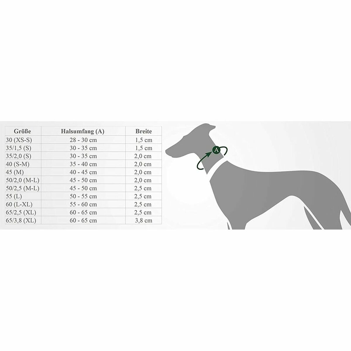 Hundhalsband Hunter Svart - 8