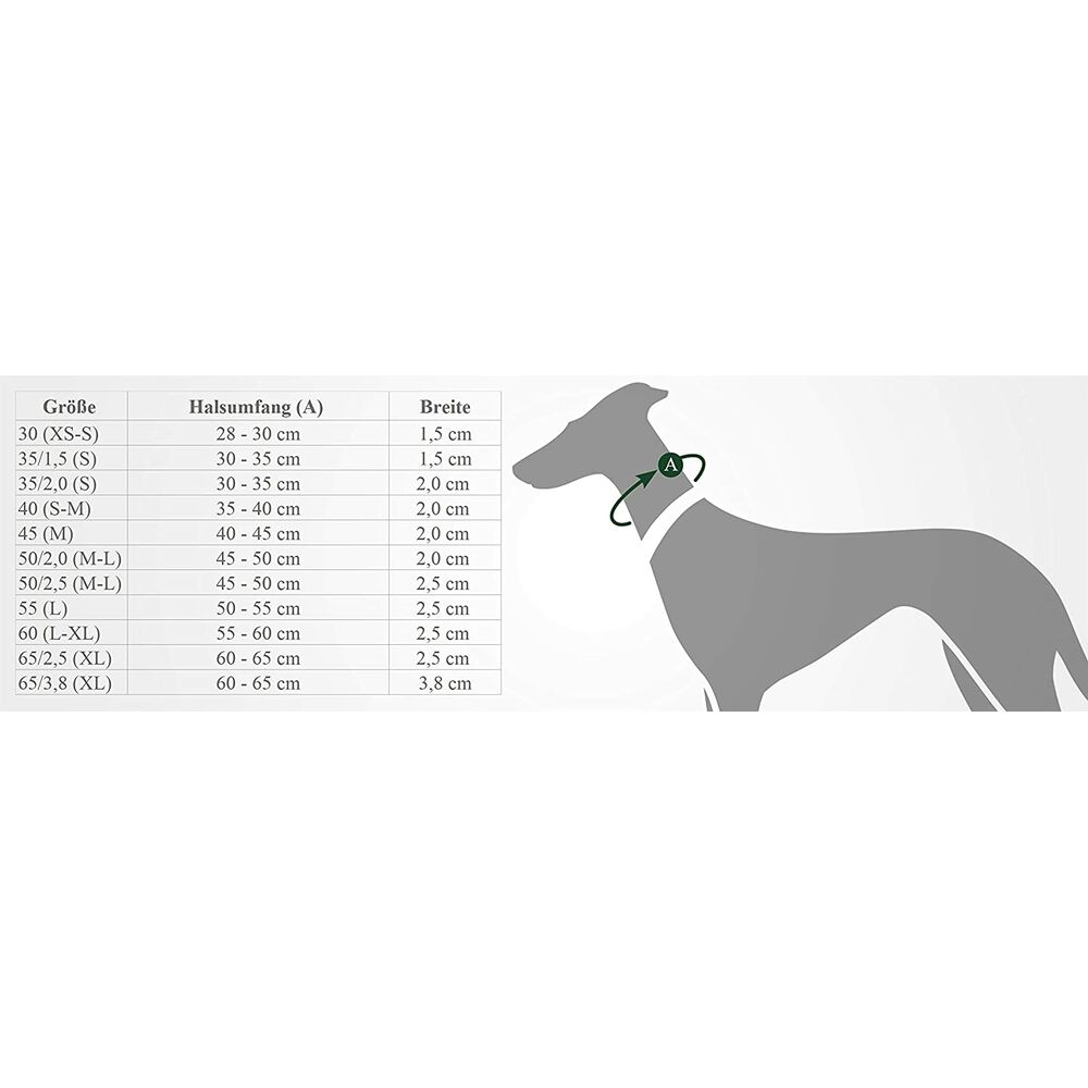 Hundhalsband Hunter Svart - 3