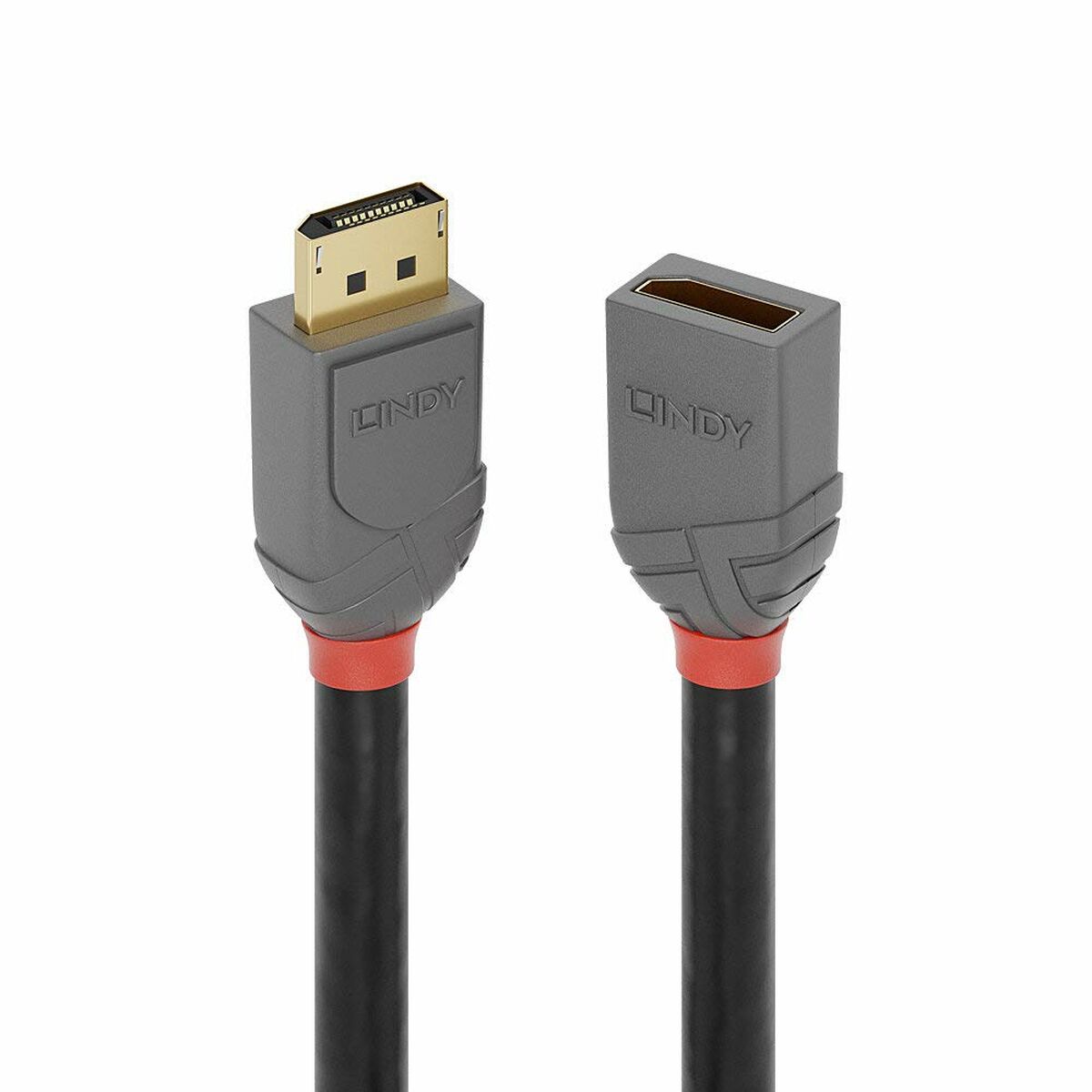 DisplayPort Kabel LINDY 36495 Svart