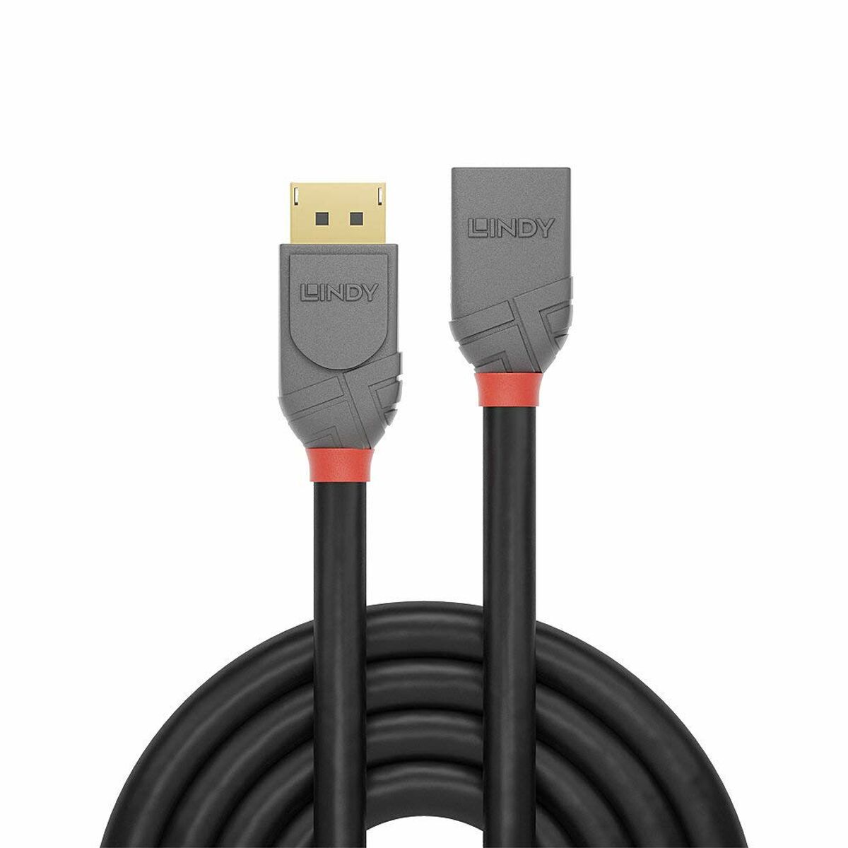 DisplayPort Kabel LINDY 36497 2 m Svart - 2