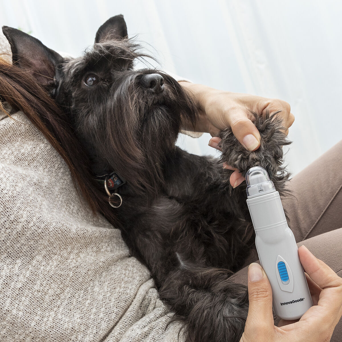 Elektrisk nagelfil för husdjur PediPet InnovaGoods - 3