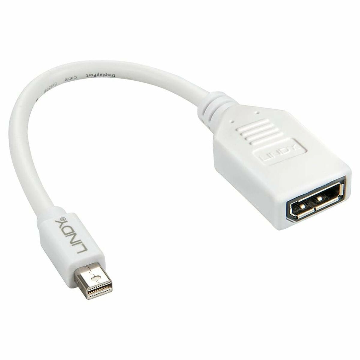 Mini-DisplayPort till DisplayPort-adapter LINDY Vit 5 m