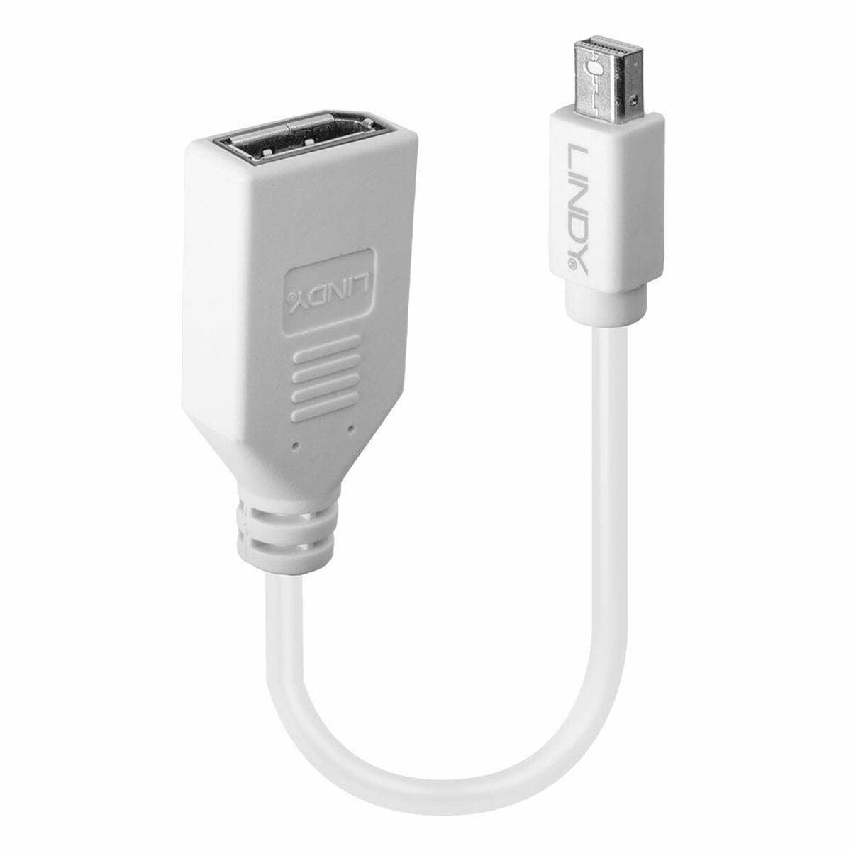 Mini-DisplayPort till DisplayPort-adapter LINDY Vit 5 m - 4