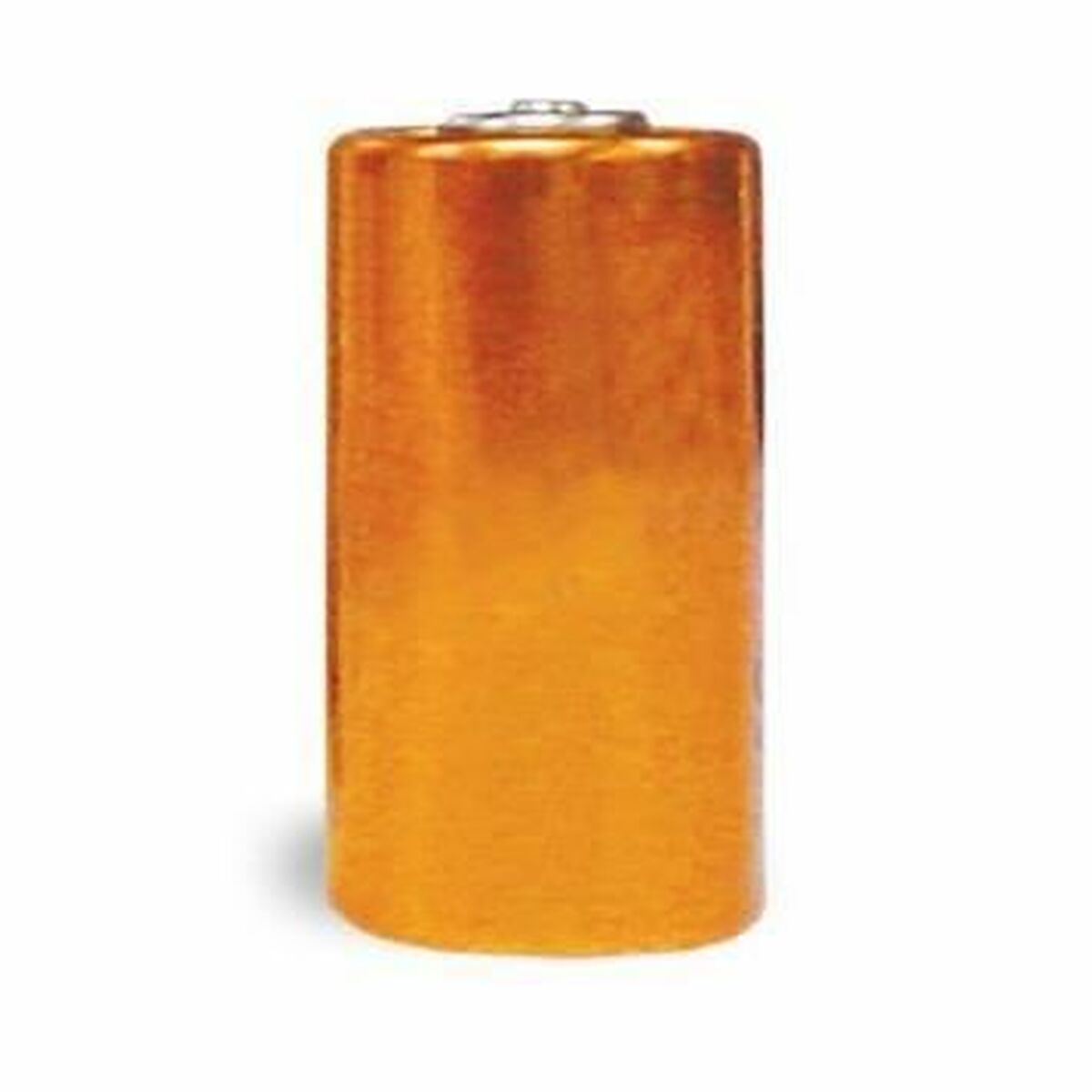 Alkaliskt batteri PetSafe 6 V Inte