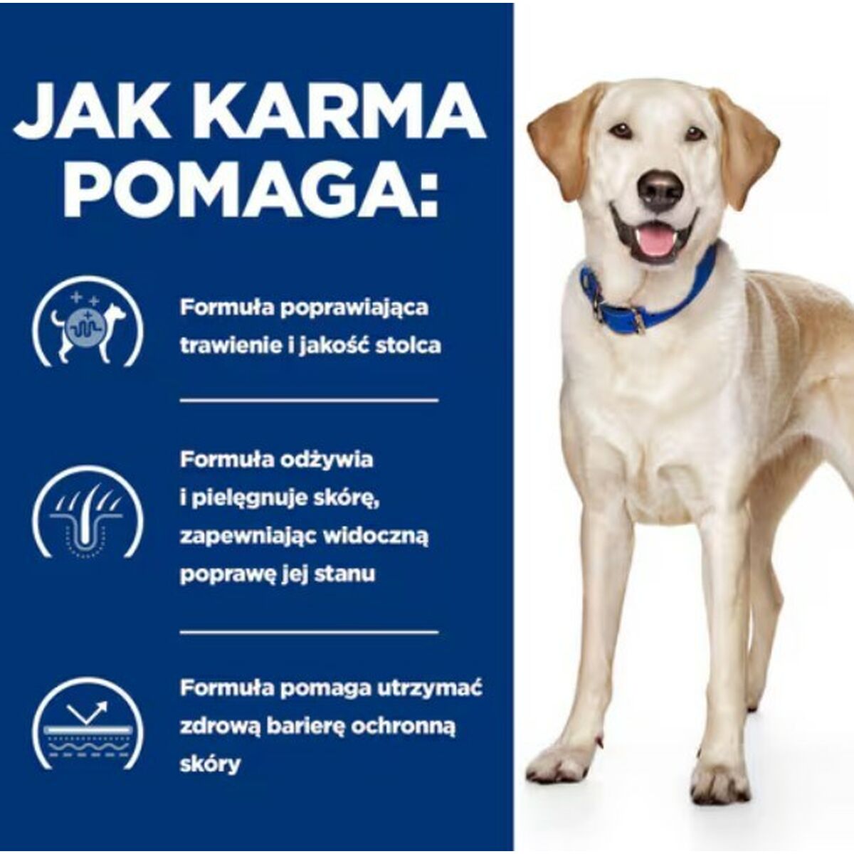 Foder Hill's D/D Sensibilidades alimentarias Anka 4 Kg - 3