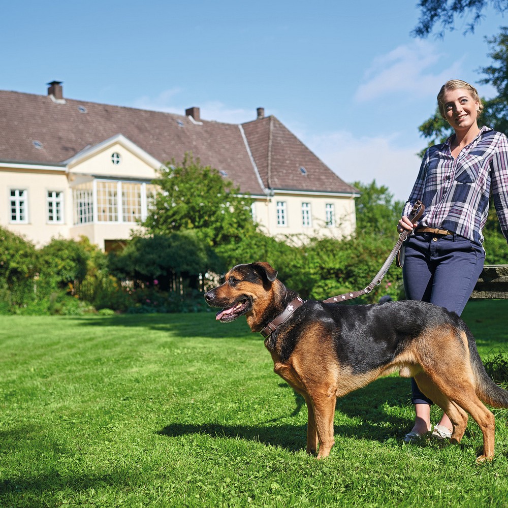 Hundhalsband Hunter Swiss 47-54 cm - 3
