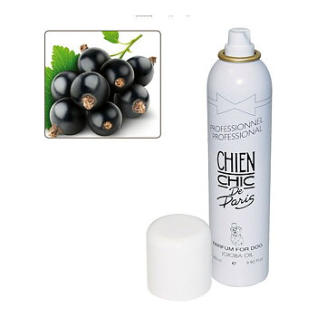 Husdjursparfym Chien Chic Hund Spray Vinbär (300 ml)
