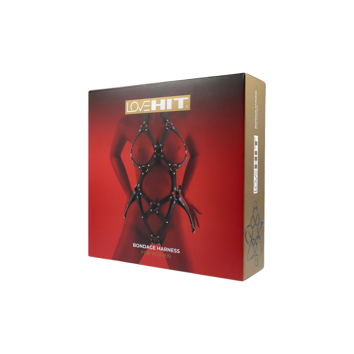 Sexy Slave Kit Virgite - 3
