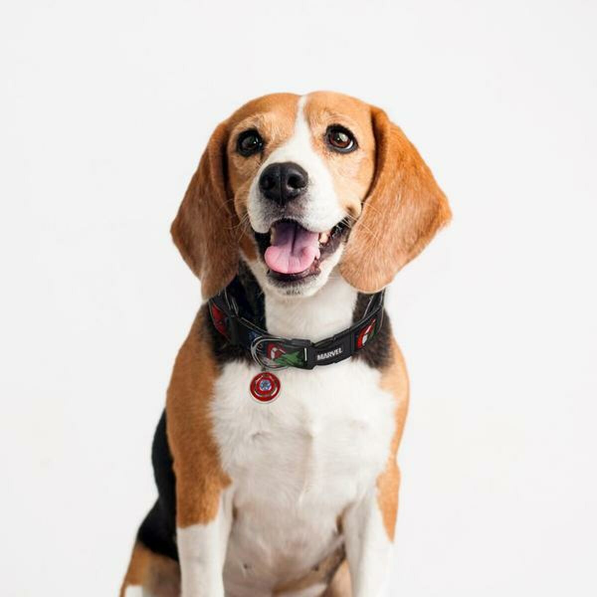 Hundhalsband Marvel XXS/XS Svart - 9